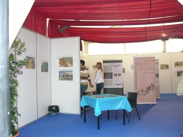 3.jpg exposições