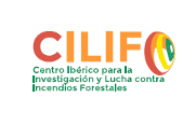 cilif