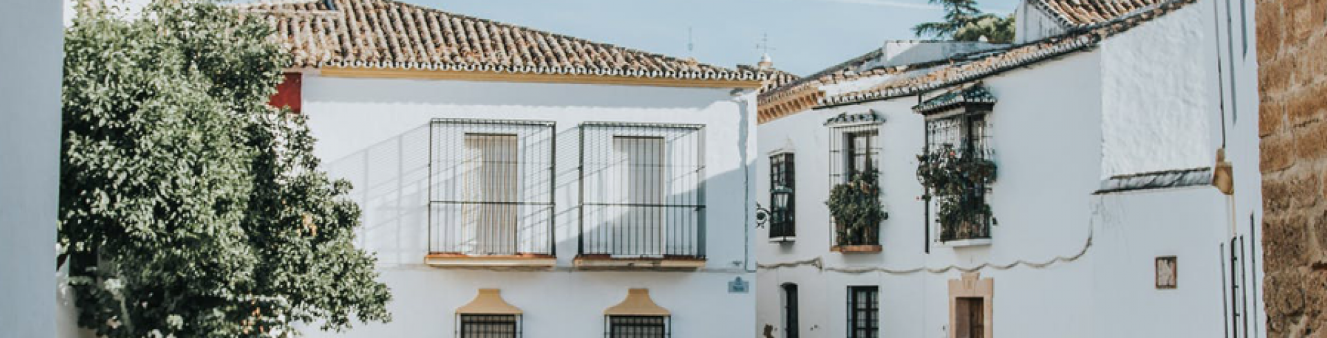 Links_banner.png links